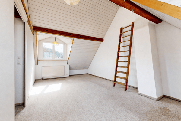 Einfamilienhaus mit Charme und Baulandreserve 14