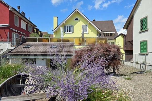 Mittendrin - und nah am Rhein - Mehrfamilienhaus 3