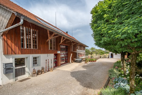 Stilvolles Fachwerkhaus mit Gewerbe und Pferdeinfrastruktur 4