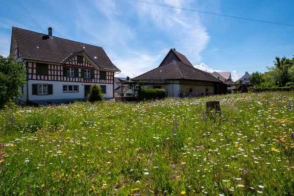 Beeindruckende Liegenschaft mit Potenzial & viel Umschwung 8