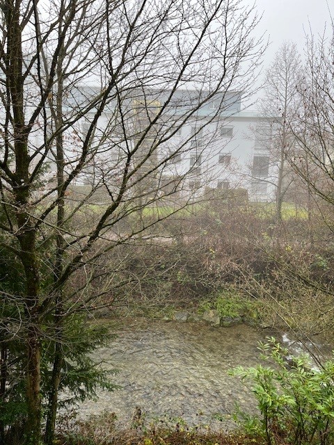 Bürofläche an der Lorze in Baar zu vermieten 11