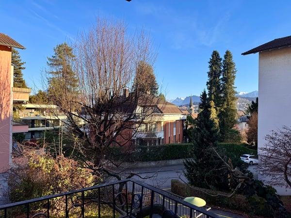 1.5 Zimmerwohnung mit Aussicht ins Grüne 1