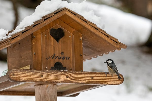 Mein Domizil, Arosa 10