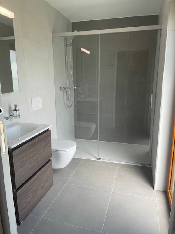 Chalet individuel neuf de 3 pièces