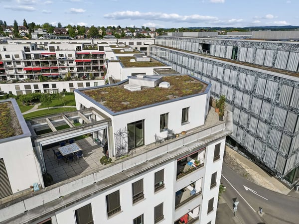 3.5 Zimmer Attikawohnung mit 117 m2 Terrasse in Wallisellen 1