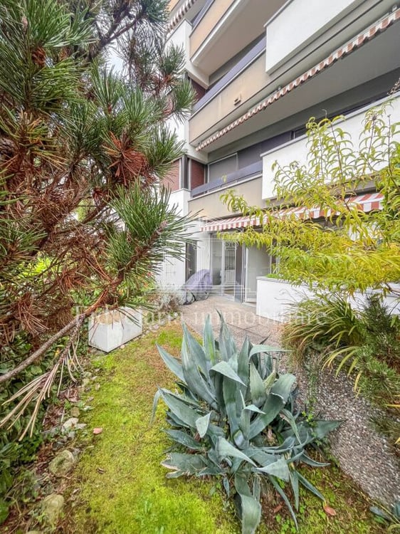 ASCONA - Affittasi appartamento 6