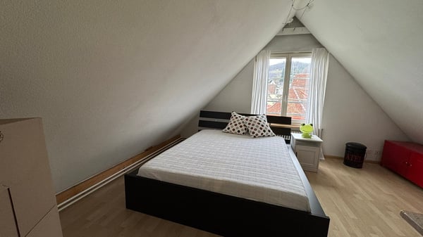 Grosszügige 1.5-Zimmer Maisonettewohnung im Dorfzentrum von Arlesheim 10