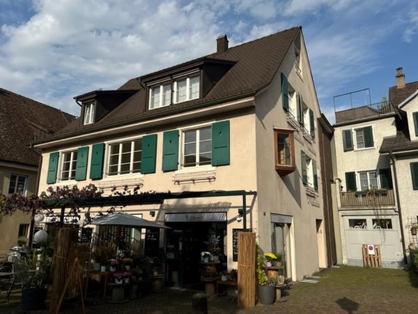 Neu renovierte, charmante 1.5 Zimmer Wohnung Mitten in Arlesheim 1