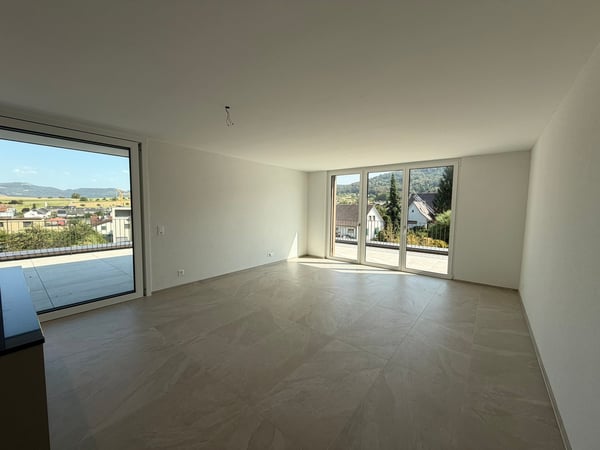 Moderne 2.5-Zimmer-Attikawohnung im Neubau mit grosszügiger Terrasse 3