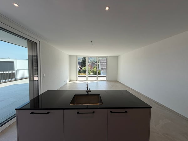 Moderne 2.5-Zimmer-Attikawohnung im Neubau mit grosszügiger Terrasse 4