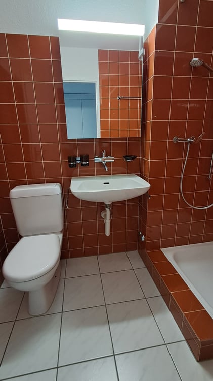 Grosszügige neu renovierte 1.5- Zimmerwohnung 9