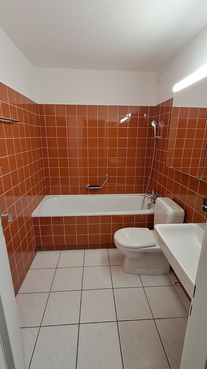 Grosszügige neu renovierte 1.5- Zimmerwohnung 12