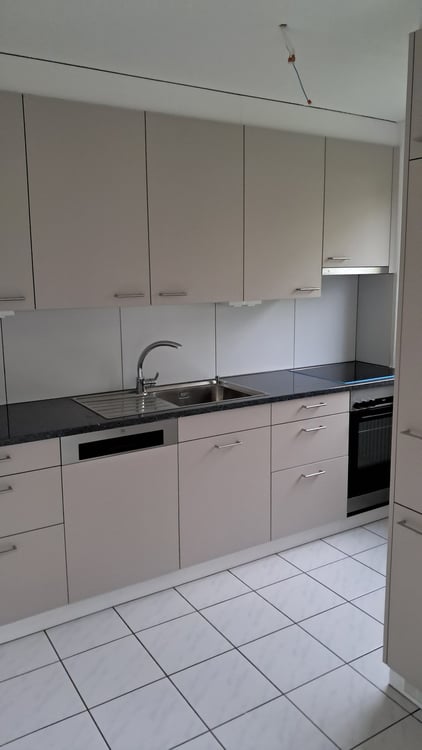 Grosszügige neu renovierte 1.5- Zimmerwohnung 2