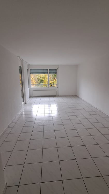 Grosszügige neu renovierte 1.5- Zimmerwohnung 7