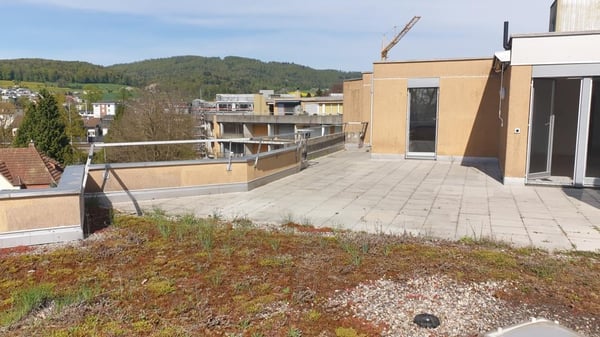 Helle, grosse, 5.5-Zimmerwohnung mit Aussicht 17