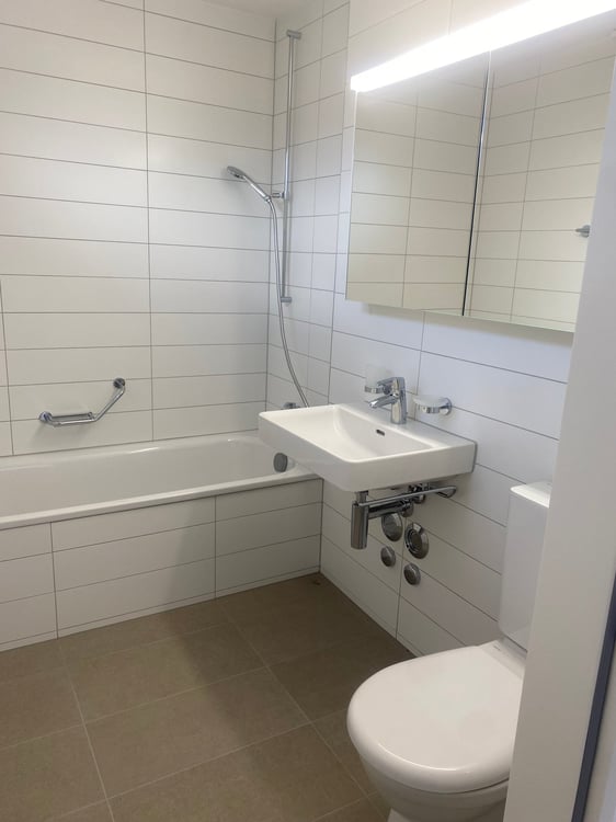 Renovierte 3,5-Zimmer-Attika-Wohnung mit grosser Terrasse 6