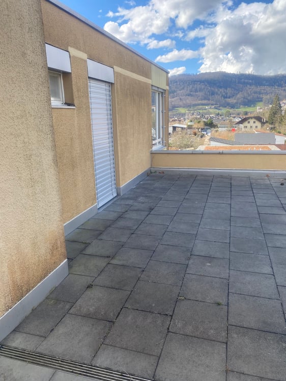 Renovierte 3,5-Zimmer-Attika-Wohnung mit grosser Terrasse 23