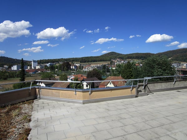 5.5-Zimmer-Attikawohnung mit Terrasse und Weitsicht in Oftringen 15