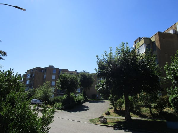 5.5-Zimmer-Attikawohnung mit Terrasse und Weitsicht in Oftringen 18