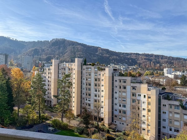 Helle 1-Zimmerwohnung an ruhiger und zentraler Lage in Zürich-Albisrieden 2