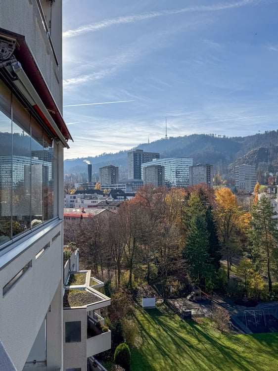 Helle 1-Zimmerwohnung an ruhiger und zentraler Lage in Zürich-Albisrieden 6