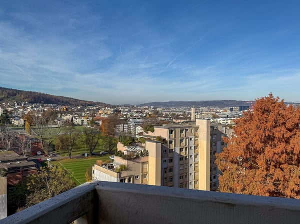 Helle 1-Zimmerwohnung an ruhiger und zentraler Lage in Zürich-Albisrieden 1