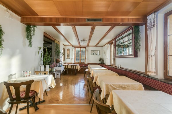 Wohn-Gewerbeliegenschaft mit Renditepotenzial an zentralster Lage in Cham 2