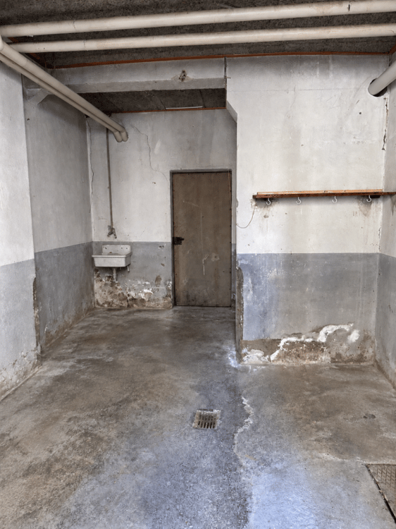 Lager-/Atelierfläche im Hochschulquartier zu vermieten 3