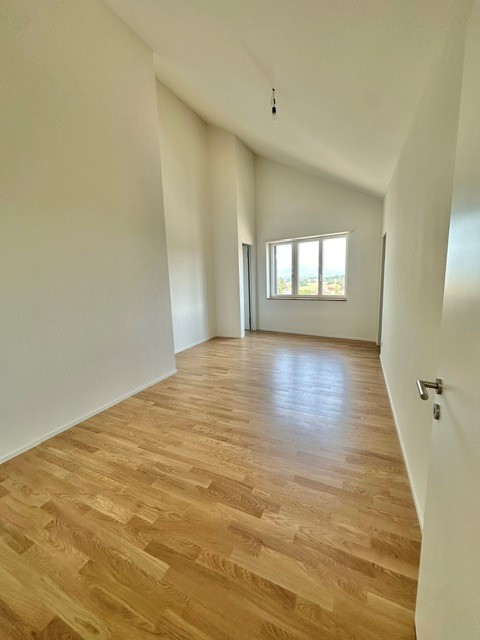 3½-Zimmer-Attikawohnung | Neubau 7