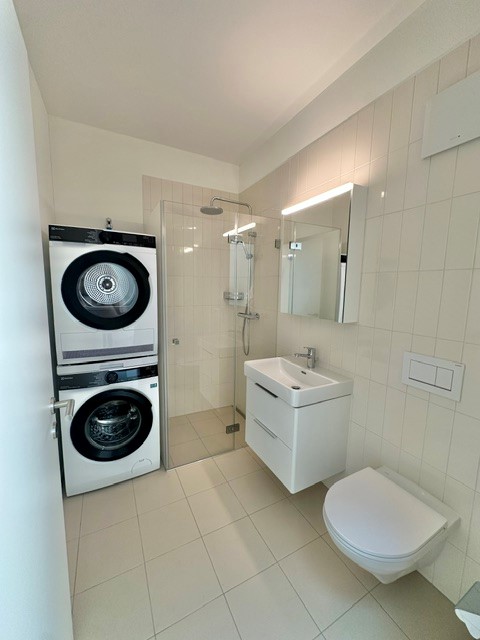 3½-Zimmer-Attikawohnung | Neubau 10