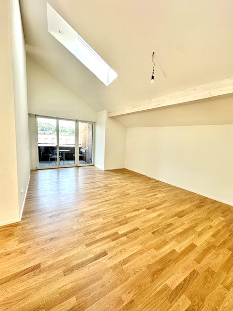 3½-Zimmer-Attikawohnung | Neubau 4