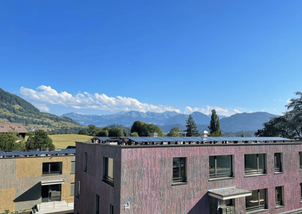 Neubau 3.5-Zimmer-Wohnung mit traumhaftem Blick in die Alpen 3
