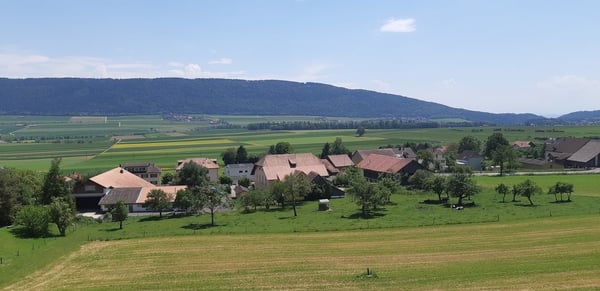 Joli 4 pièces à louer 9