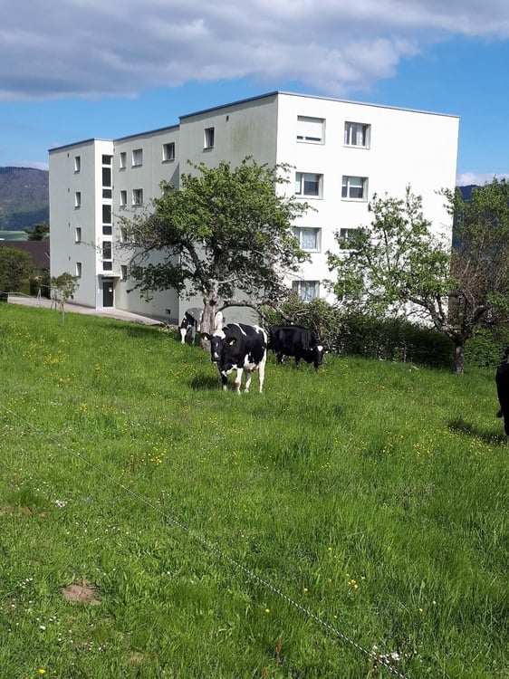 Joli 4 pièces à louer 8