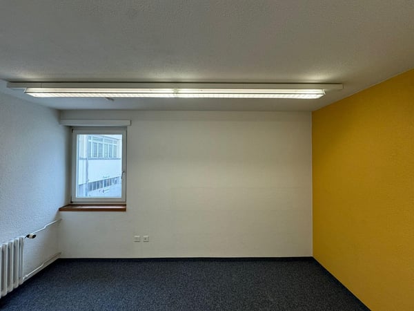 Gewerbefläche in Gossau 2