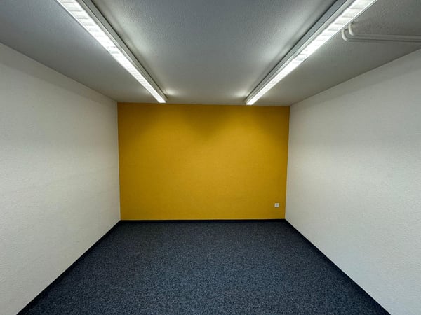 Gewerbefläche in Gossau 7