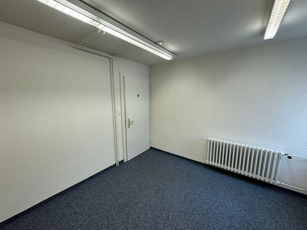 Gewerbefläche in Gossau 6