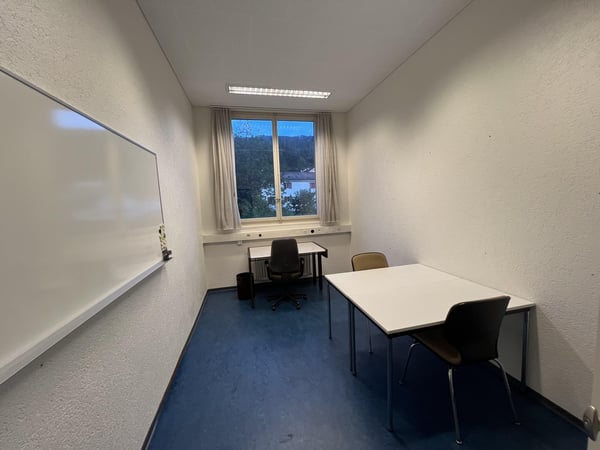 Gewerbeflächen in Balsthal zu attraktiven Konditionen 9