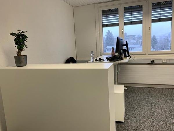 Gewerbe in Lachen 3