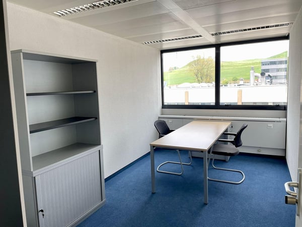 Gewerbe in Baar zu vermieten 9