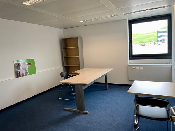 Gewerbe in Baar zu vermieten 7