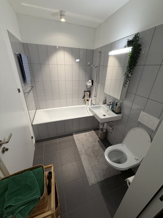 1.5 Zimmerwohnung in Uitikon - designt für Individualisten 5