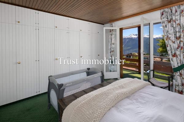 1002. Vue splendide sur les Alpes et grand potentiel 9