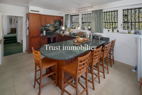 1002. Vue splendide sur les Alpes et grand potentiel 3