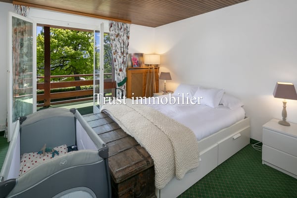 1002. Vue splendide sur les Alpes et grand potentiel 10