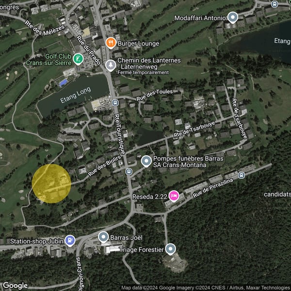 1.6002L. Chalet à louer au centre de Crans 13