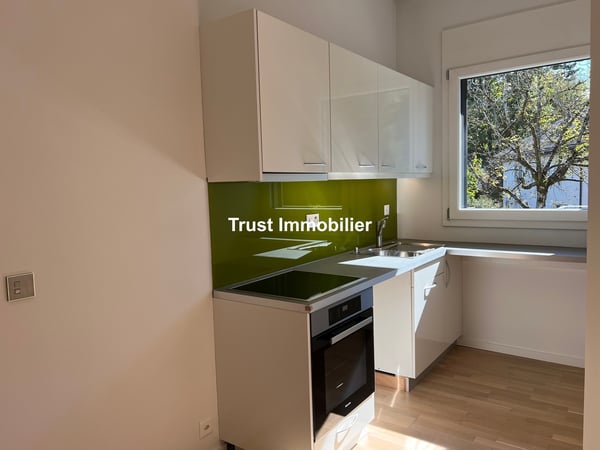 4047.E Appartement 1.5 pièces avec une vue dégagée sur le Salève 12