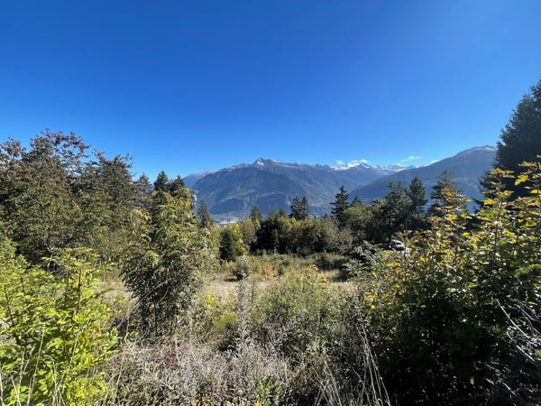 8006. Grande parcelle  en zone de réserve  - Bluche 2