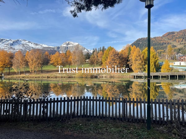 Votre futur Chalet, Centre de Crans 5