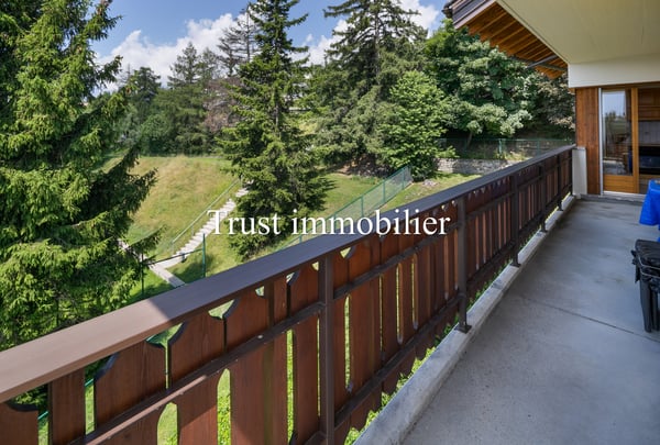 4005. Appartement lumineux à la Moubra 6